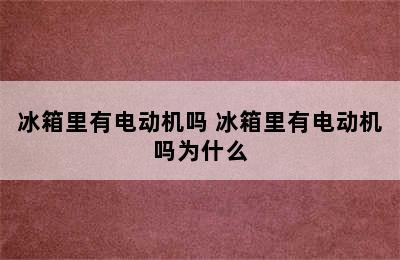 冰箱里有电动机吗 冰箱里有电动机吗为什么